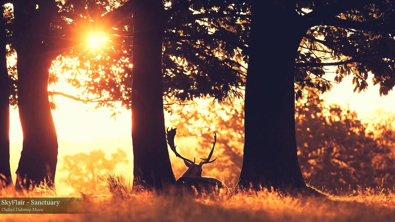 SkyFlair - Sanctuary