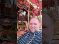 Dudley musom carousel
