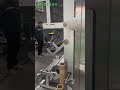Fully Automatic Servo Strip Packing Machine