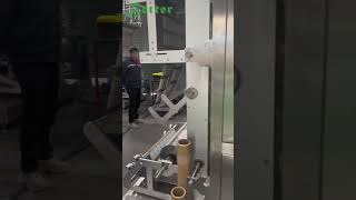 Fully Automatic Servo Strip Packing Machine