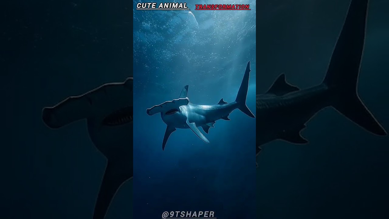 Before & After Animal Growing up Transformation 💀 