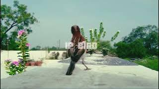 suara Burung Gereja ribut Tarung GACOR Suara pikat mp3