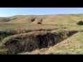 estero1