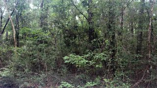 Lot 10 Arapaho, CRAWFORDVILLE, FL Presented by Sonya Fowler.