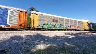 NS 1132 taking care of the northbound graffiti train with a NS DPU at mile post 22