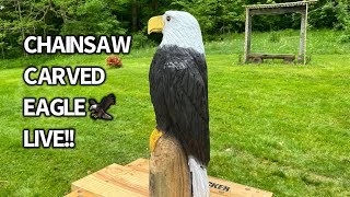 Bear and the Boss Lady! LIVE Chainsaw carve a Mini Bald Eagle! #chainsawcarving #carving #eagles