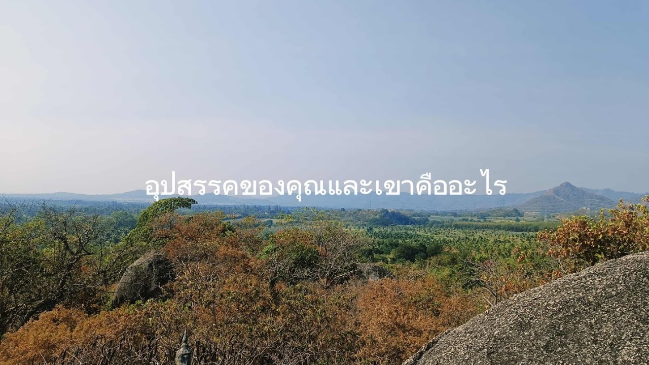 🌱อุปสรรคของคุณและเขาคืออะไร🔮 ให้ไพ่เล่าเรื่องกันนะโปรดใช้วิจารณญาณ#tarot #tarotreader #ธรรมะผ่านไพ่ 