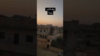 ريف ادلب زردنا المنشد الاستاذ داود شعبان