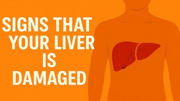 Is Your Liver Crying for Help? Warning Signs You Shouldn’t Ignore