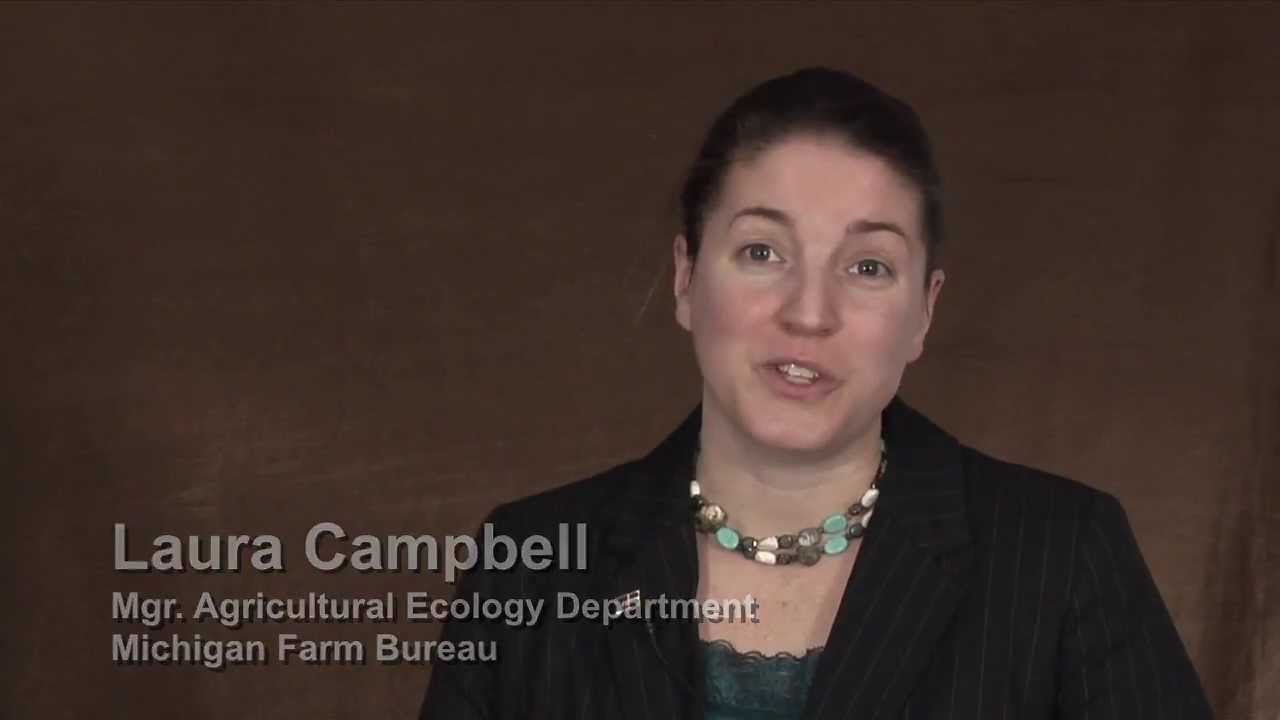 Michigan's New Wetlands Law