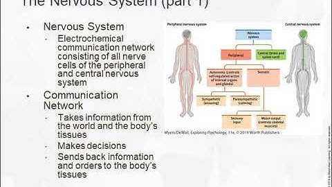 PSYC 210 D05 D06 Chp 2 1