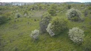 Górki Czechowskie z lotu ptaka