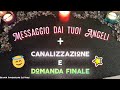 🔮Canalizzazione👼Cosa vuole dirti il tuo Angelo e domanda finale🎁#canalizzazione #angeli