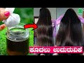 How to Stop Hair Fall and Grow Hair Faster Naturally | Hair Fall Tips Kannada | Hair Loss Control