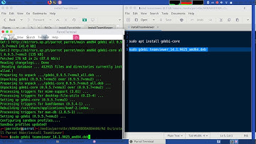 How to install TeamViewer on linux parrot security os