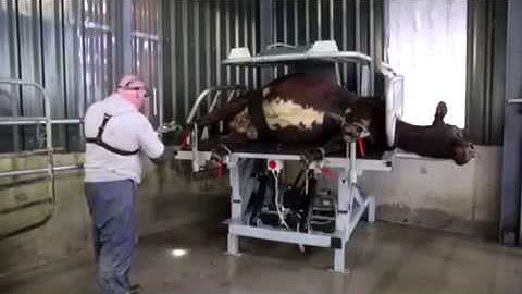 Inspect 4 fitted crate