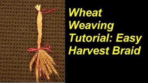 Wheat Weaving: Easy Harvest Braid