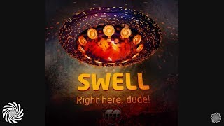 Swell - Throw Me a Bone