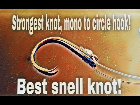 Learn To Tie a modified Snell Knot. 