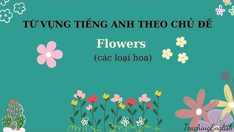 Bé học từ vựng tiếng Anh theo chủ đề các loài hoa - Flowers