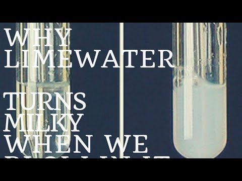 Video: Hoe wordt kalkwater melkachtig?