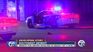Police investigating deadly hit-and-run in Detroit