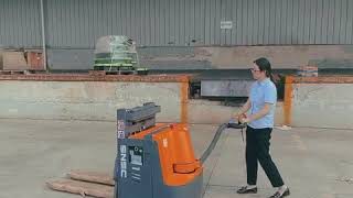 SNSC 2ton Electric Double Decker Pallet Truck to France