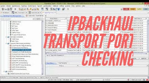 CHECK IPBACKHAUL & TRANSPORT PORT USING U2000 HUAWEI