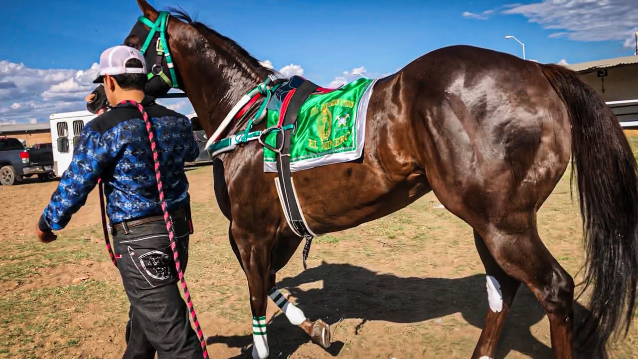 Súper Carrera Estelar | El Arriero Vs El Minero, Carril 2000 Durango Mex.
