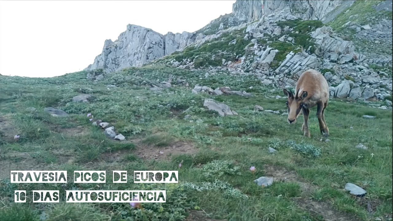 Travesía Picos de Europa 3 macizos. 10 dias.