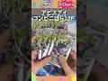 たったの10パックで神引きなんてできないよねぇ?【アビスアイ】#ポケモンカード #ポケカ #ポケカ開封 #オリパ
