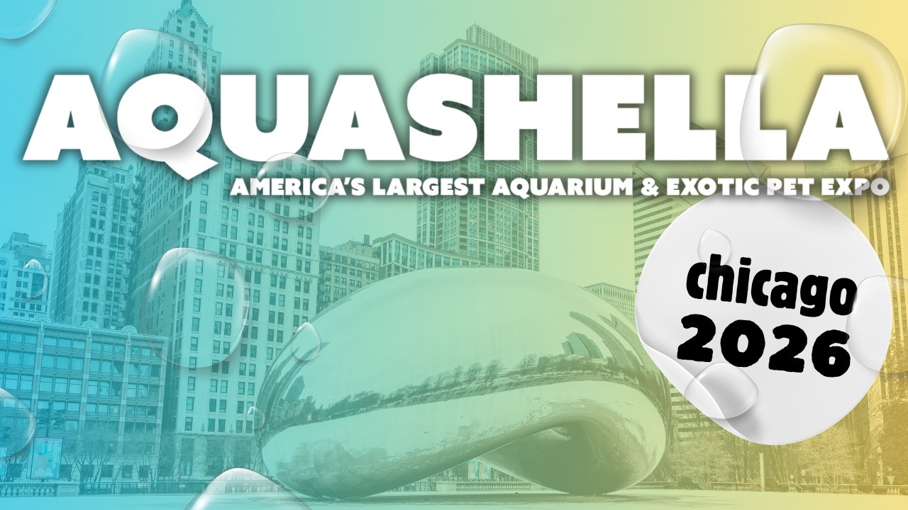 Inside AQUASHELLA Chicago 2026! Day One (We Found EVERYTHING)