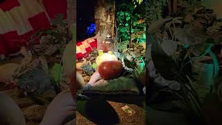 Dinosaur Europa park