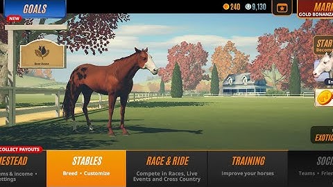 Rival Stars Horse Racing Android Gameplay Part 2