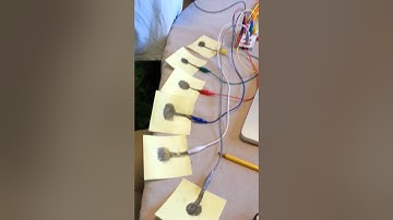 Makey Makey And Graphite