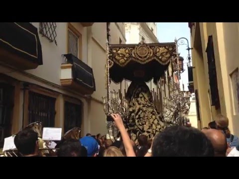 Pontificia y Real Archicofradía de Nazarenos del Santísimo Cristo de la Salud, María Santísima de la Luz en el Sagrado Misterio de sus Tres Necesidades al Pie de la Santa Cruz, San Francisco de Paula, Gloriosa Resurrección de Nuestro Señor Jesucristo y Nuestra Señora del Mayor Dolor en su Soledad