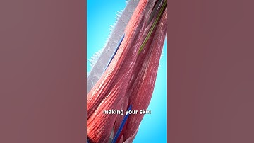 Falling Into Liquid Nitrogen 😮 (would you survive?)