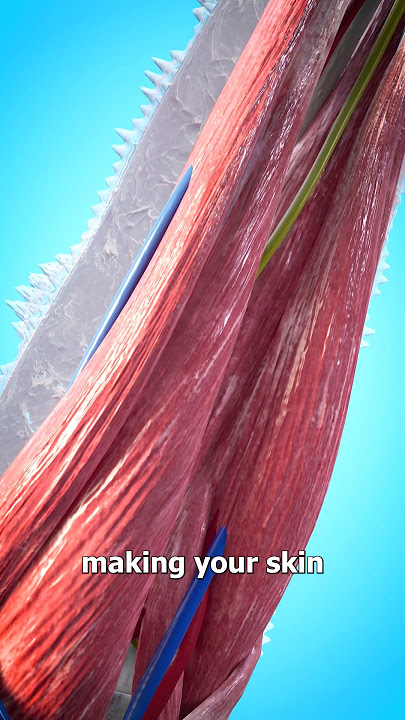 Falling Into Liquid Nitrogen 😮 (would you survive?)