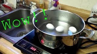Induction burner - unboxing - my brother - my parents - xbox - Plants vs. Zombies game
