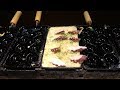 大阪のたこ焼き　プロが焼くたこ焼き(たこ家道頓堀くくる 本店)　Delicious Takoyaki of Osaka Dotonbori　大阪道顿堀的美味章鱼烧烤