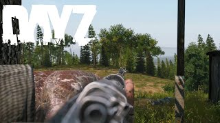 Intense Gunfight in DayZ Summer Chernarus - Epic Victory!