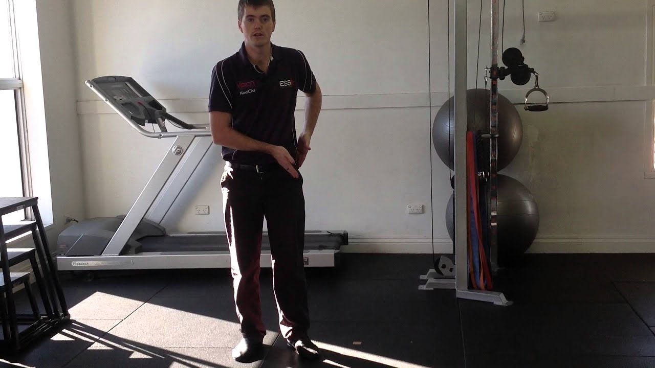 Visual feedback as what NOT to do with respect to the Single Leg ...