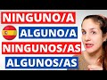 Los ADJETIVOS INDEFINIDOS (variables) en español: ¿Cómo Se Usan? ¿Cuáles son? 🇪🇸