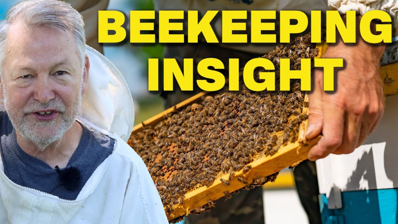Beekeeping: How To Break The Habit of Repeated Mistakes - YouTube