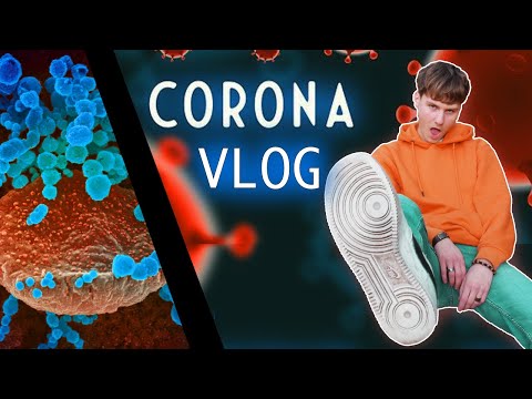 Vlog - Premier jour de confinement (+ péripéties)