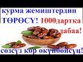 Курманын пайдасына сөз жок!