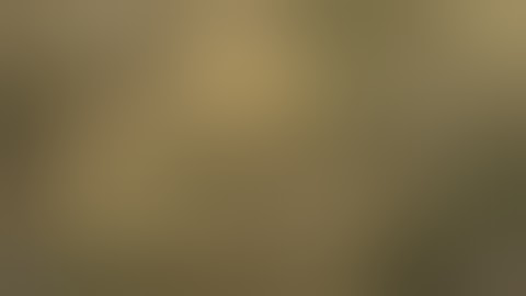 Pollen count scientifically monitored on ABQ