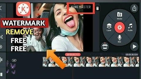 How To Remove Watermark in Kindmaster  For Free.| Best Mobile Video Editor in 2020 (Alternative Way)