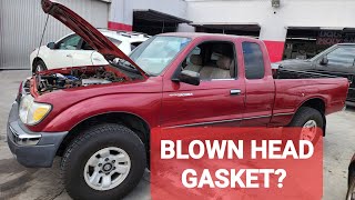 how to tell how to diagnose blown head gasket (blown head gasket?)