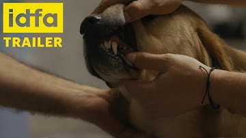 IDFA 2021 | Trailer | Adjusting